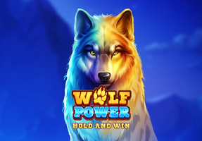 Online Casino Slot Game PLAYSON Wolf Land Hold and Win